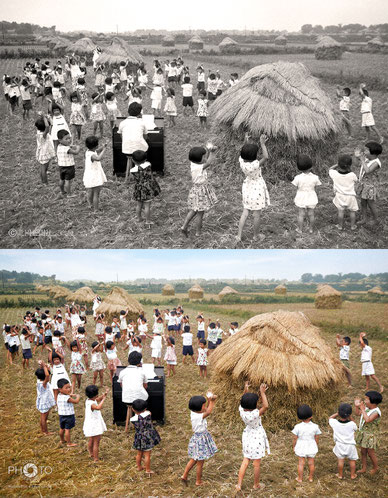 修復・色再現 作業前→作業後比較　1959（昭和34）年9月7日、石川県の松任町（現白山市）林中地区