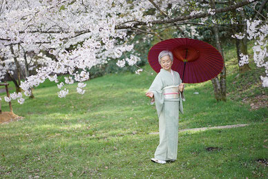 レイキ　桜　着物　番傘