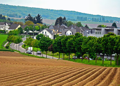 Landwirtschaft Andernach 