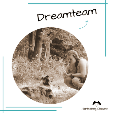 Hundetraining by Tiertraining Diamant, Hundeschule, Hundetraining, Salzburg, hundeschule mit individueller betreuung, Welpentraining, Clickern, Social Walk, Urlaub mit Hund, Junghundekurs, modernes Training Hund, welpenkurs, junghundetraining, erziehung