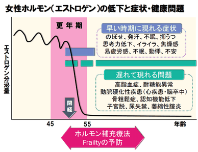 女性ホルモン（エストロゲン）の低下と症状・健康問題