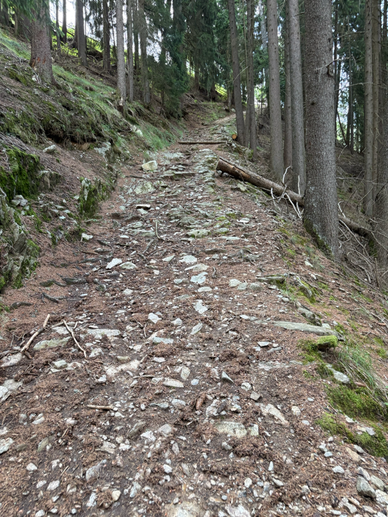 steiler-erster-teil-der-strecke.jpg