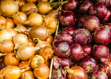 white onions and red onions