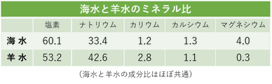 皇帝塩　海水　羊水