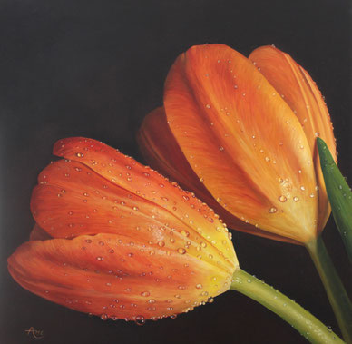 Tulpen met waterdruppels II te zien bij Galerie Montulet  www.montuletgalleries.com