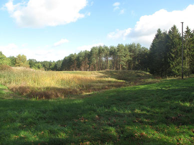Auenbereich