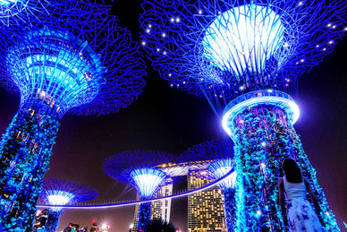 Gardens by the Bay, Supertrees at night, 26.08.2018