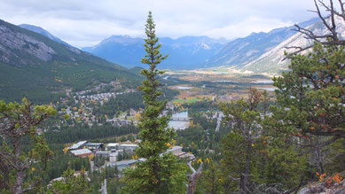 Blick vom Tunnel Mountain auf Banff