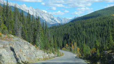 auf der Maligne Lake Road