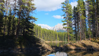 der idyllische Moose Lake