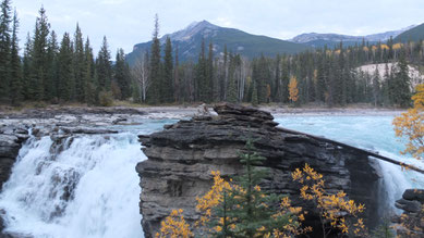 Athabasca Falls