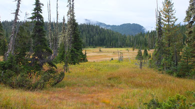 Strathcona Provincial Park