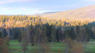 unser Campground im Wells Gray Provincial Park