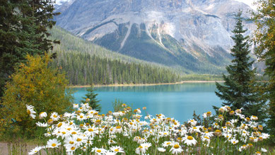 Emerald Lake