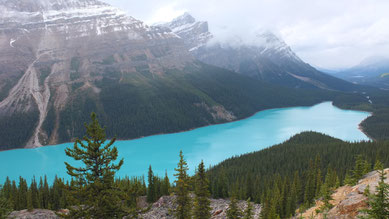 Peyto Lake