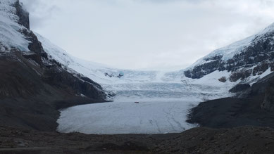 Athabasca Glacier