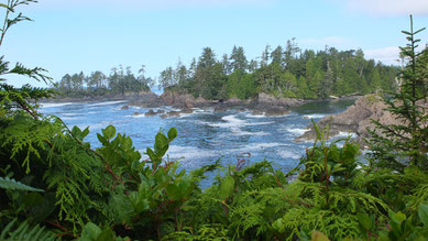 entlang des Wild Pacific Trail