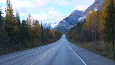 auf dem Icefields Parkway