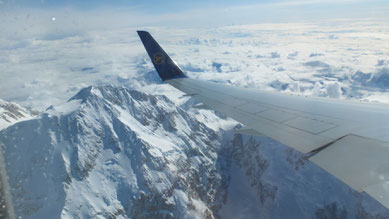 Blick auf den Denali (Mount McKinley)