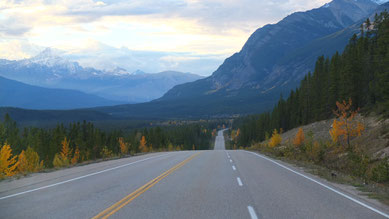 Abendstimmung am Icefields Parkway