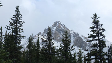 Blick auf die umliegenden Berge