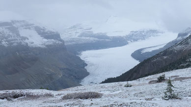 Saskatchewan Glacier