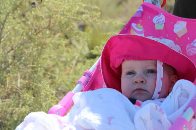 Baby Travel to New Mexico