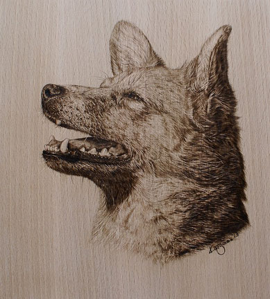 Mischlingshund auf Buchenholz