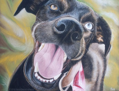 Portrait eines Hundes, gezeichnet mit Pastellkreide