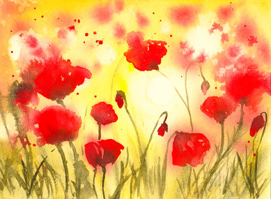 Mohnblumen, A4, unverkäuflich