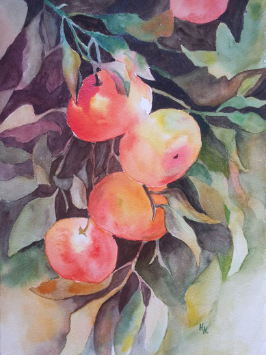 Reife Früchte, Aquarell