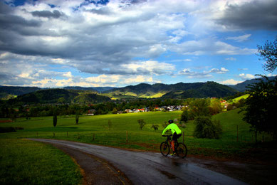 Bild von Raychitoo auf Pixabay