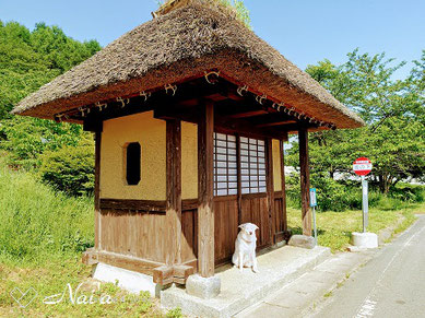 遠野市　骨盤矯正