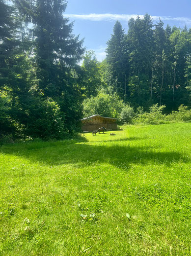 Sommer, Sonne - Sonnenschein!
