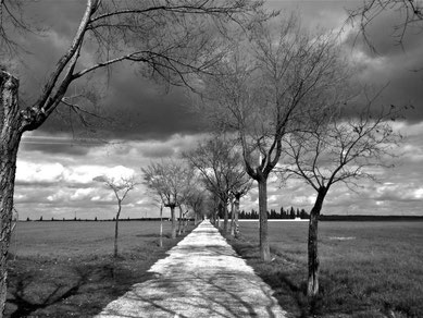 Manzanares, camnio al cementerio