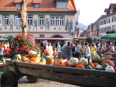 Markt in Haslach