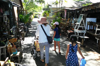 アンティークの街として知られるマウント・ドラの通りを散策する家族。両脇には家具や雑貨、アンティーク品が並ぶお店が立ち並び、訪れる人々が掘り出し物を探しながらのんびり歩いている。オーランドから車で約1時間で行ける街歩きスポット。