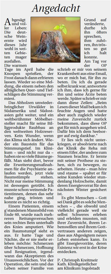 Abgesägt und voller Leben_Angedacht im Donaukurier 4./5.5.2024
