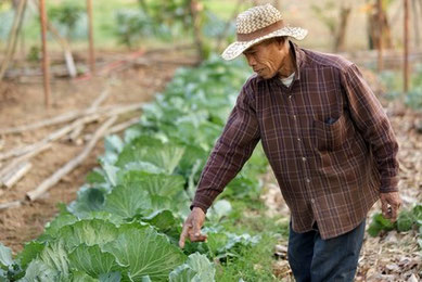 Chiang Rai Reisezeit und Regenzeit