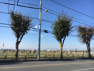 コンビニから横田基地方面を臨む