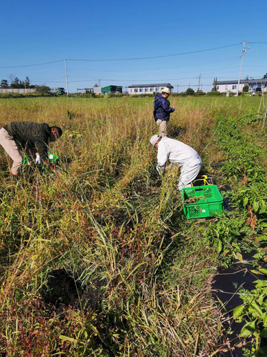 札幌市清田区にある就労継続支援B型事業所のプレマハウスでは働くことの楽しさや、やりがいを感じることができます。