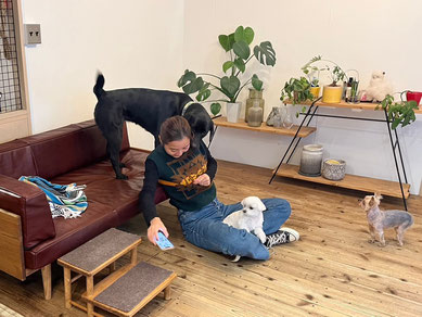 DOGSALONSEALY ドッグサロンシーリー 表参道 南青山 外苑前 トリミングサロン 射手今日子 プードル トリマー