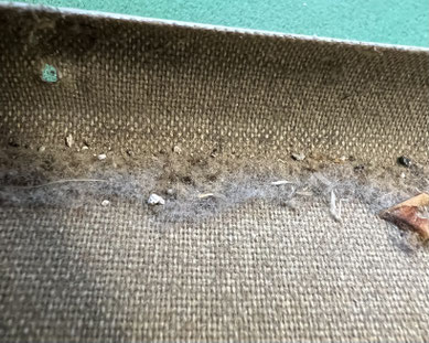 Keilrahmenbild - Staubtasche reinigen lassem