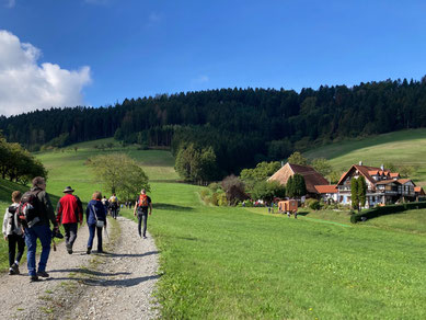 Wandelen in het Zwarte Woud Ontspanning vakantie