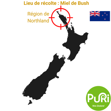 Lieu de récolte du Miel de Forêt Tropicale de Nouvelle-Zélande région de Northland