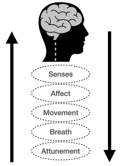 emotional hygiene, Nervous System Health, Nervous System Fitness, Autonomic Fitness, Nervous System Regulation, Nervous System Portals, Autonomic Portals