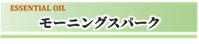 SHIGETA,アロマオイル,モーニングスパーク,ウェイクアップブレンド,寝起き,気持ちいい朝,店頭販売