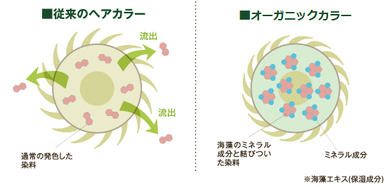 ミネラル発色イメージ