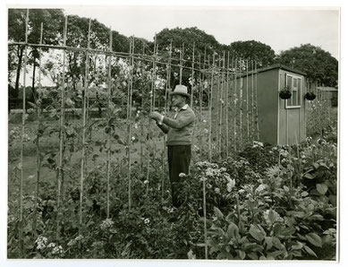 The Leys allotments 1969; image from the Library of Birmingham