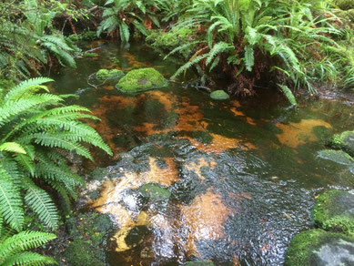 Petit ruisseau au sable d'argent